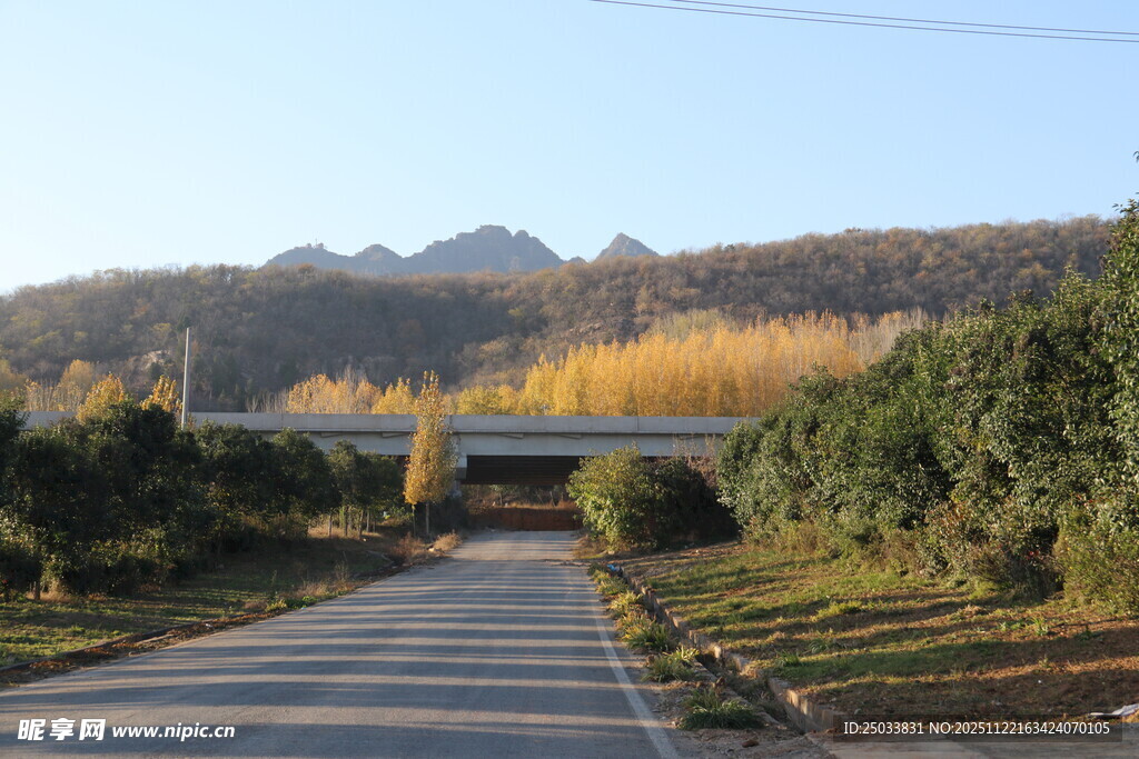 秋日林间公路风景