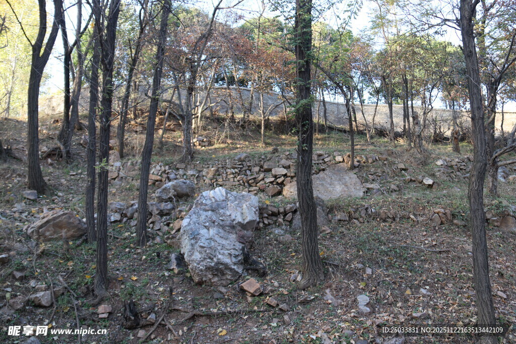 秋日林间石头景观