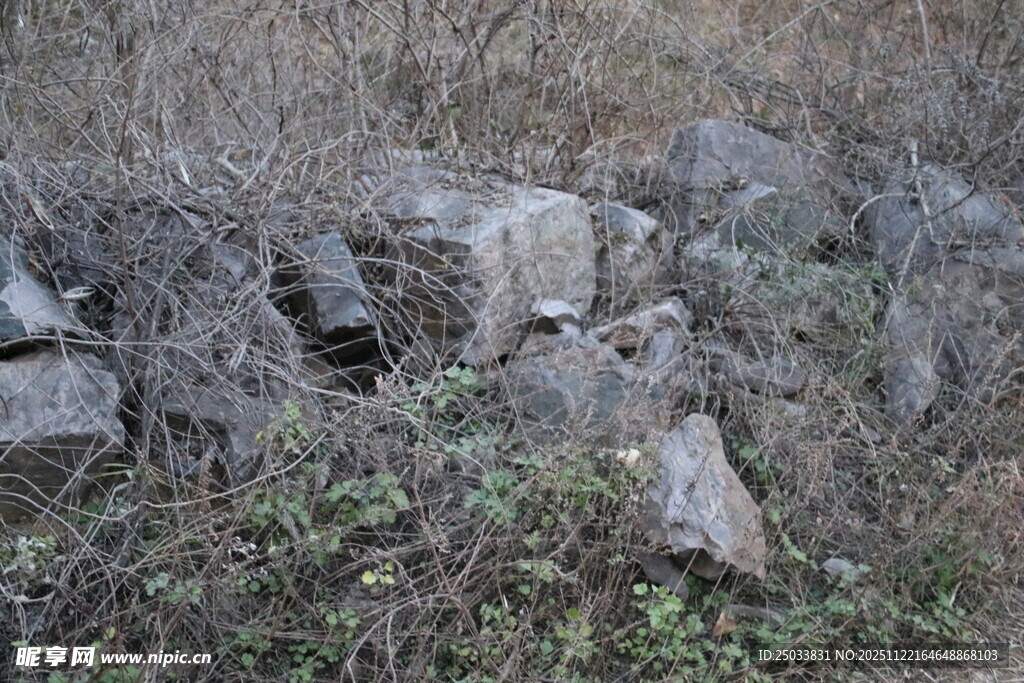 野外乱石堆中的自然景象