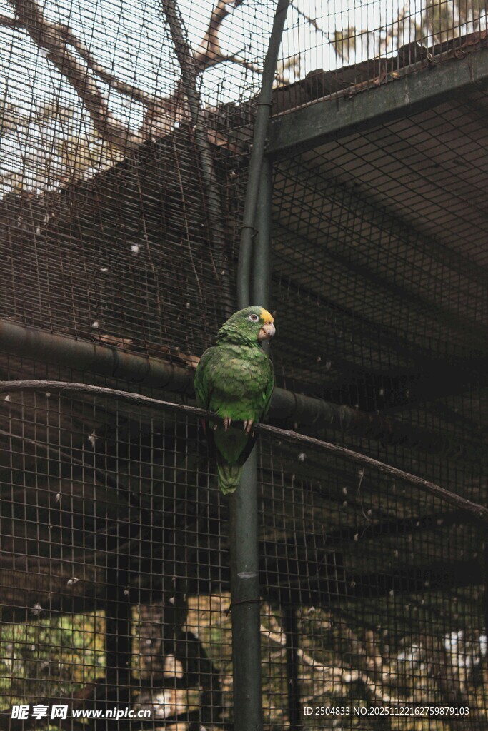 绿色户外物件 围栏旁景象