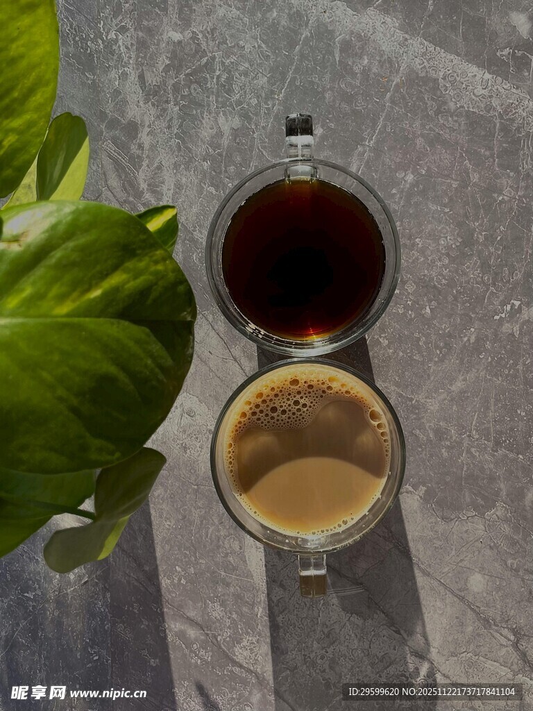 双杯咖啡与绿植的惬意画面