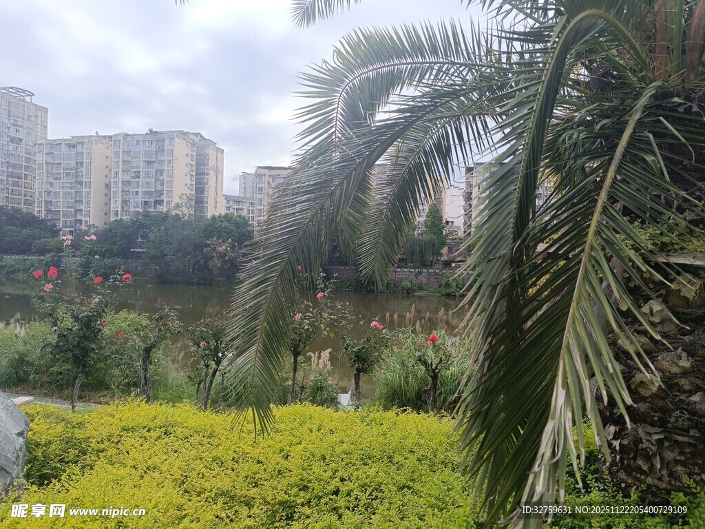 城市中的绿植景观