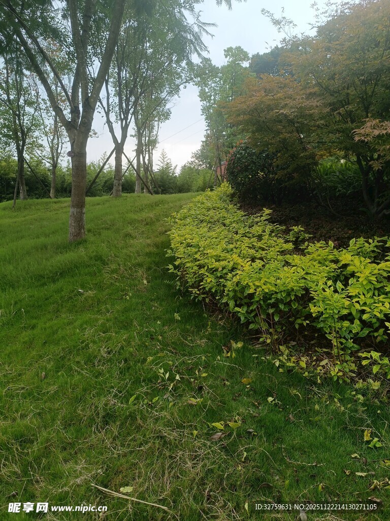 绿意盎然的园林景观