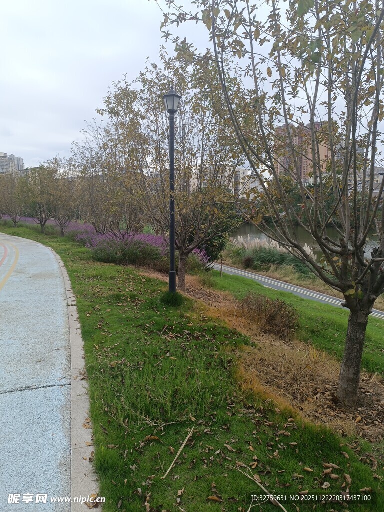 春日公园小径风景