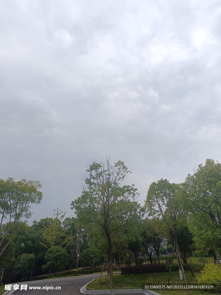 阴天的林间道路景色