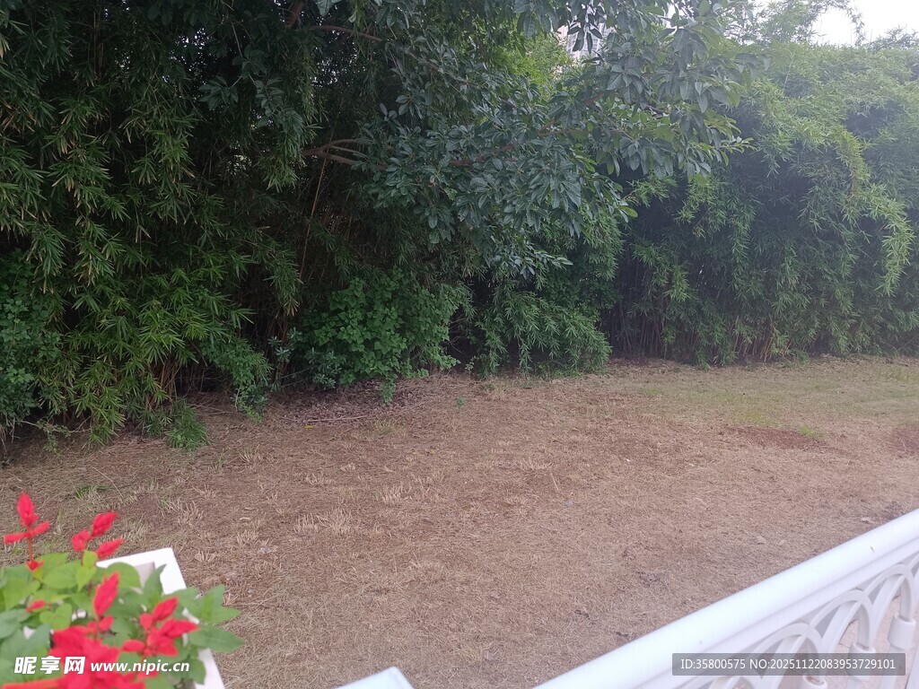 户外泥土地与绿植景观