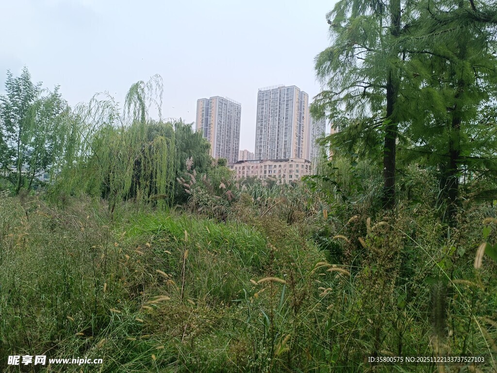 城郊野景中的高楼