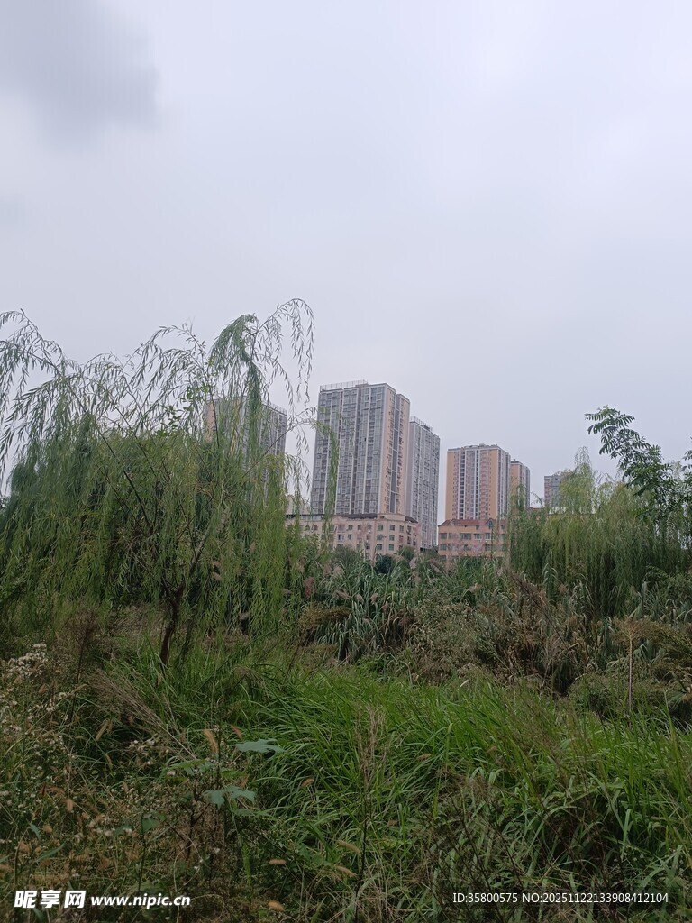 城郊绿植与远处高楼景观