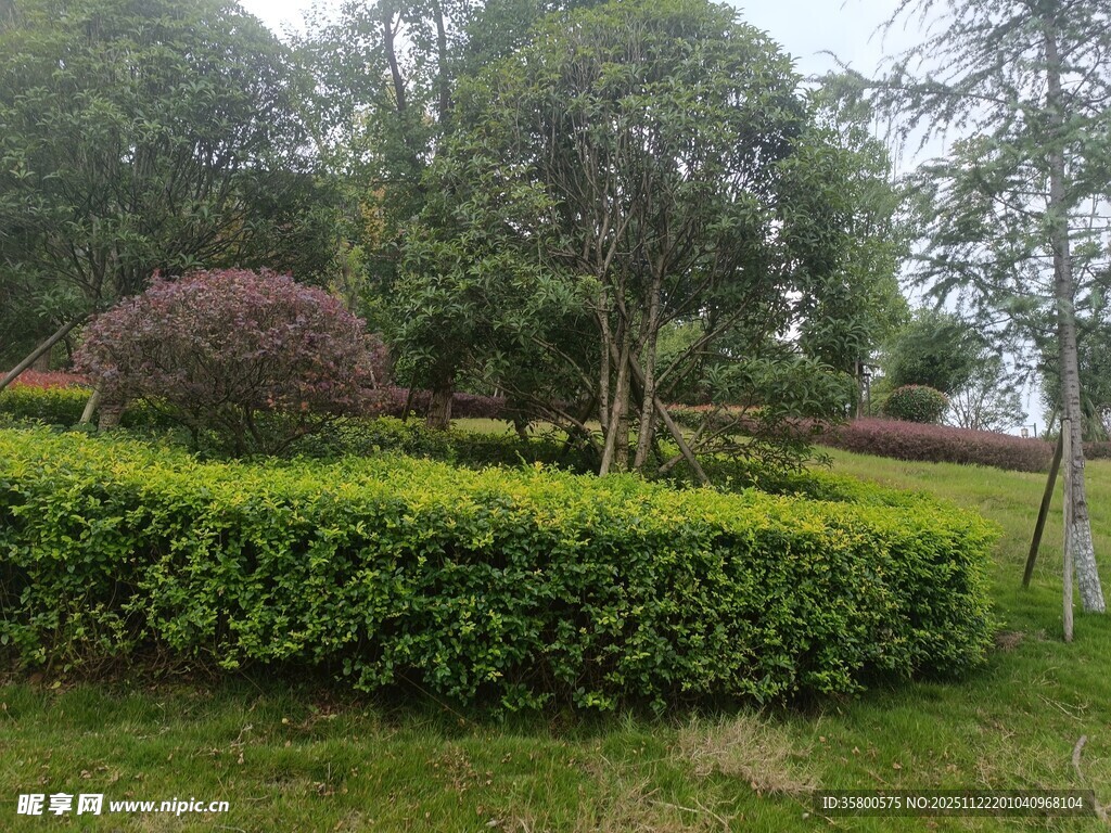 绿意盎然的园林景观