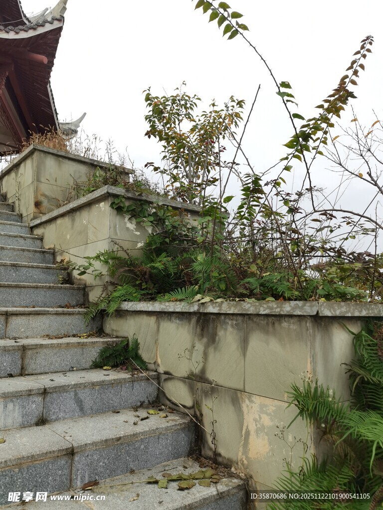 古建旁的石阶与繁茂绿植