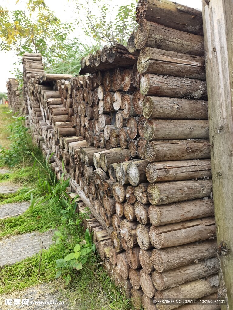 户外堆叠的原木景观