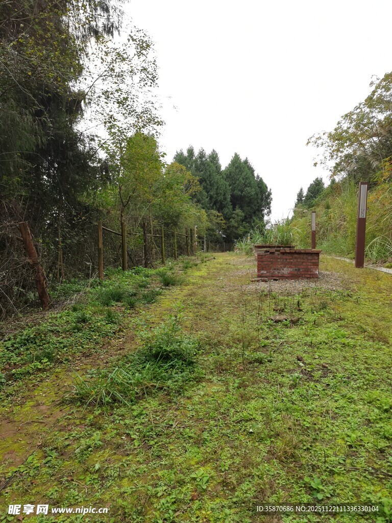 林间草地中的独立木箱