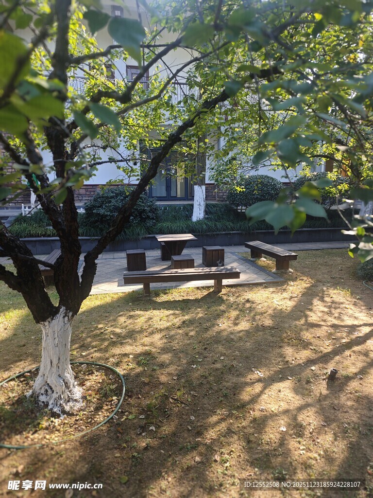 户外树荫下的休闲场景