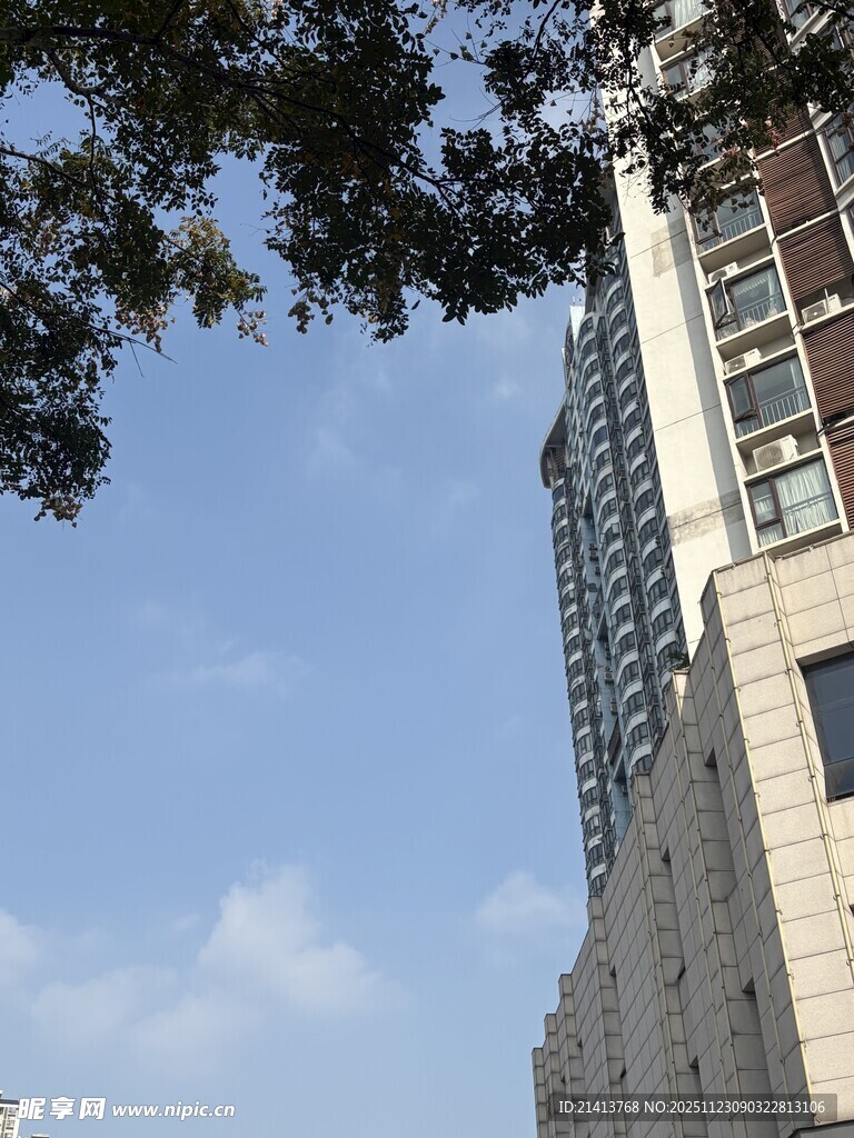 城市高楼与枝叶相映