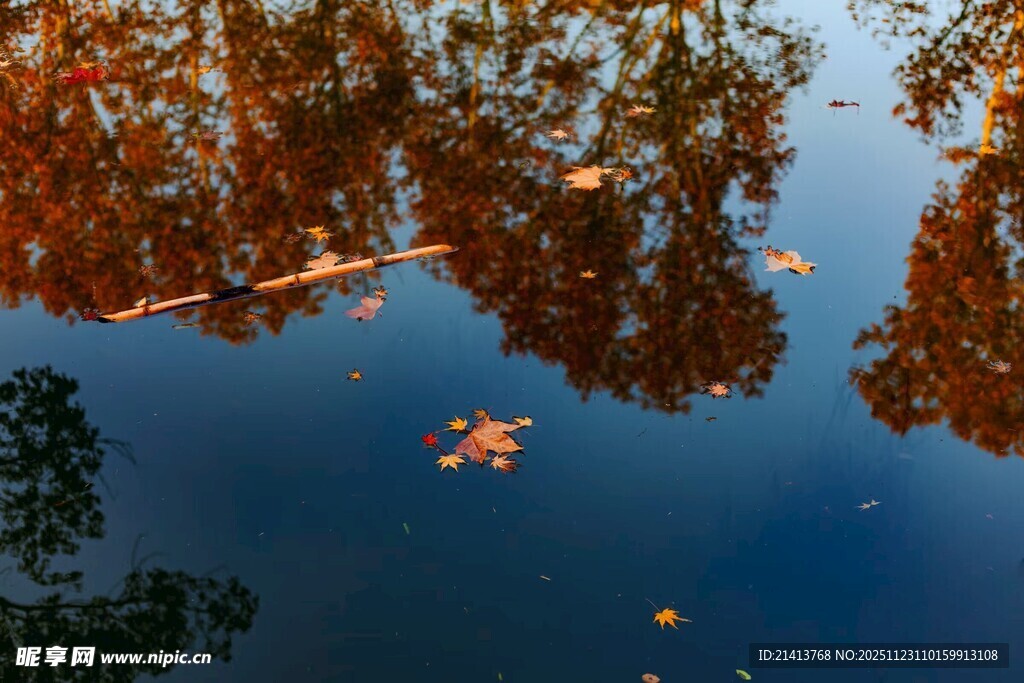 秋日湖面倒映斑斓树叶