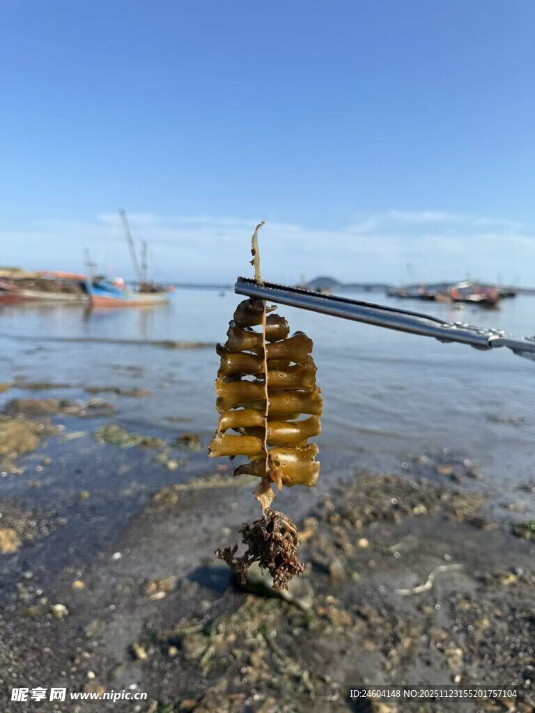 海边独特的堆叠石头景观