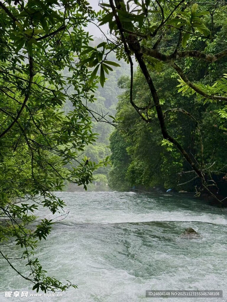 山间溪流绿意环绕之景