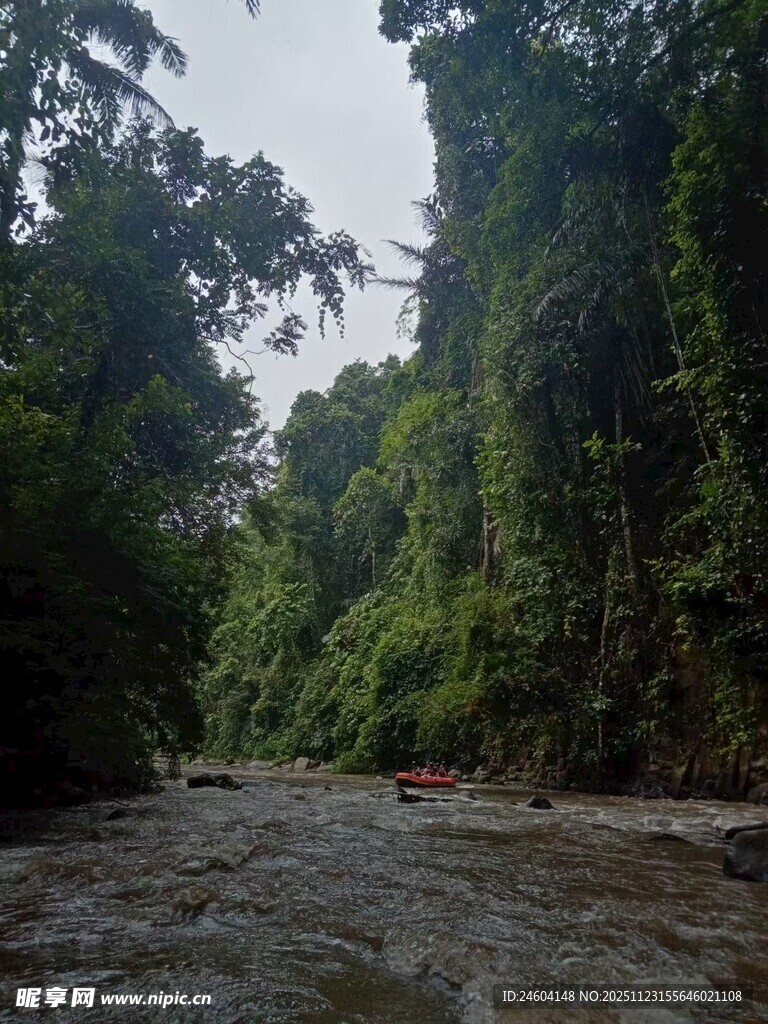 丛林中湍急河流的景象