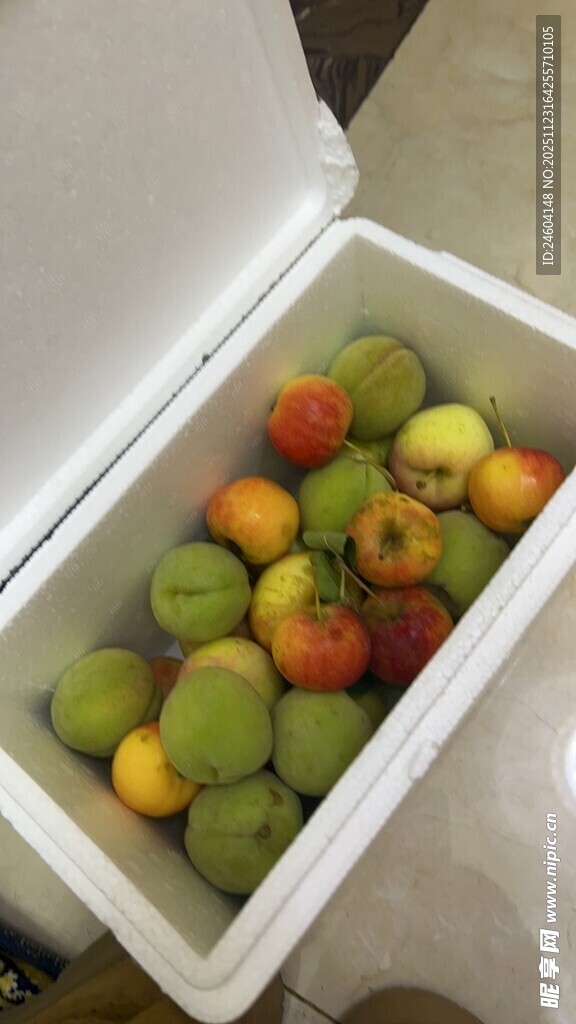 冷藏箱内多彩新鲜的水果