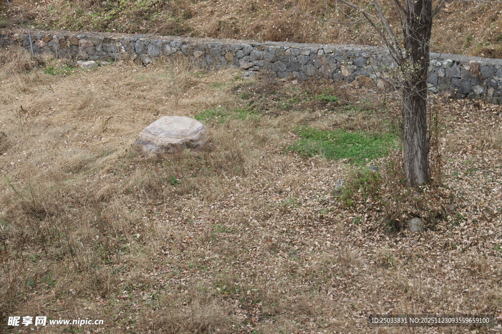 荒野中的孤树与石块
