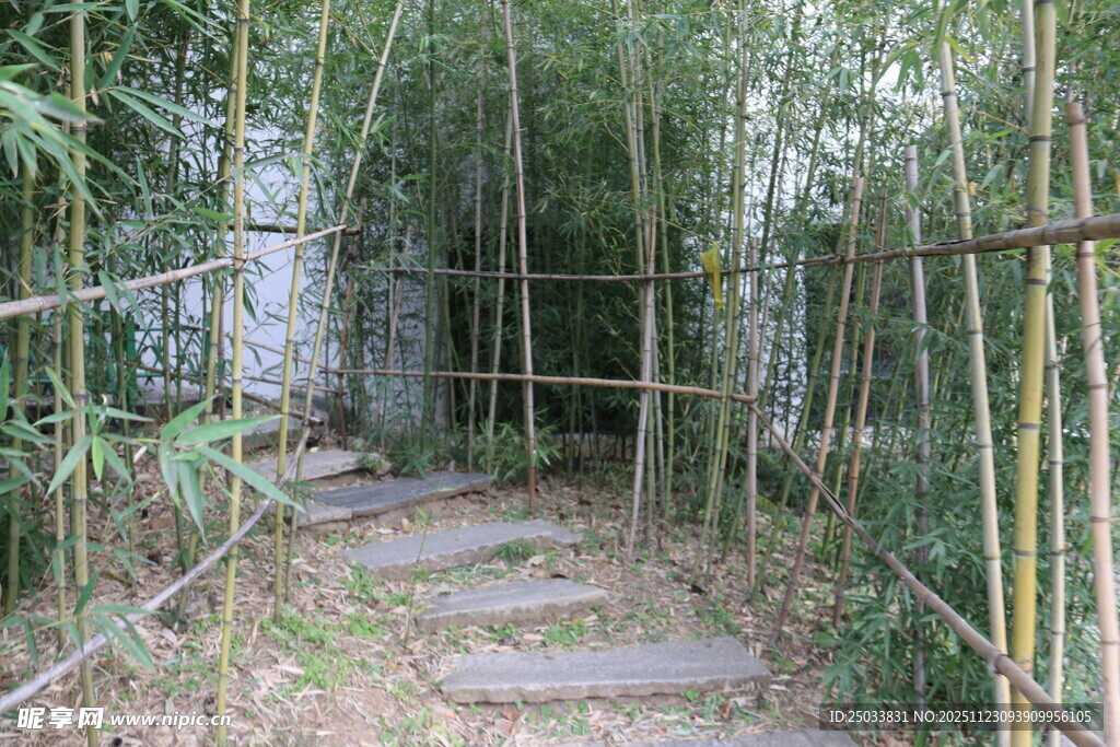 竹林间的石板小径