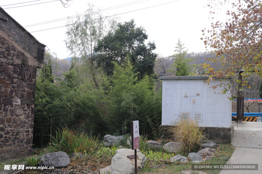 庭院绿植景观一角