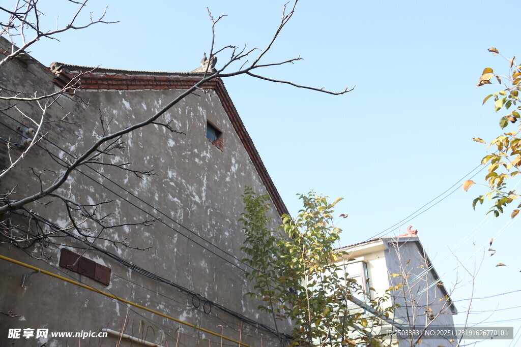 老旧房屋与光秃树枝