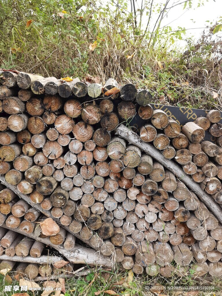 户外堆放的整齐木柴