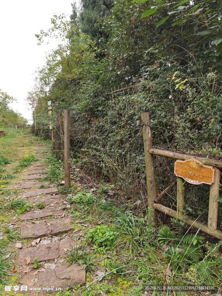 林间小径旁的木质指示牌