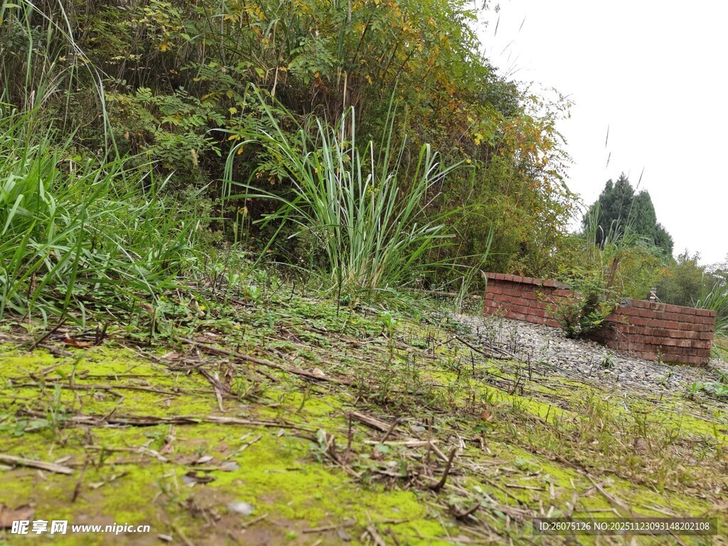 山坡绿植旁的红色箱体