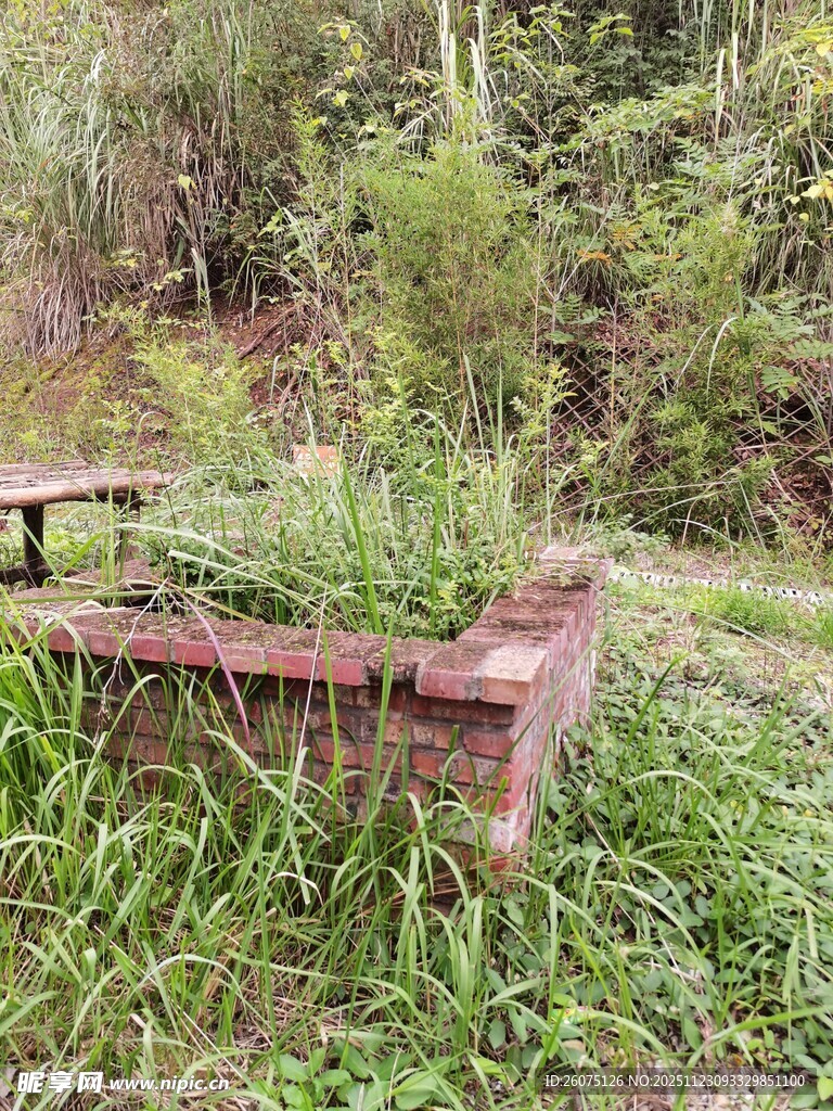 废弃木槽隐于草丛间