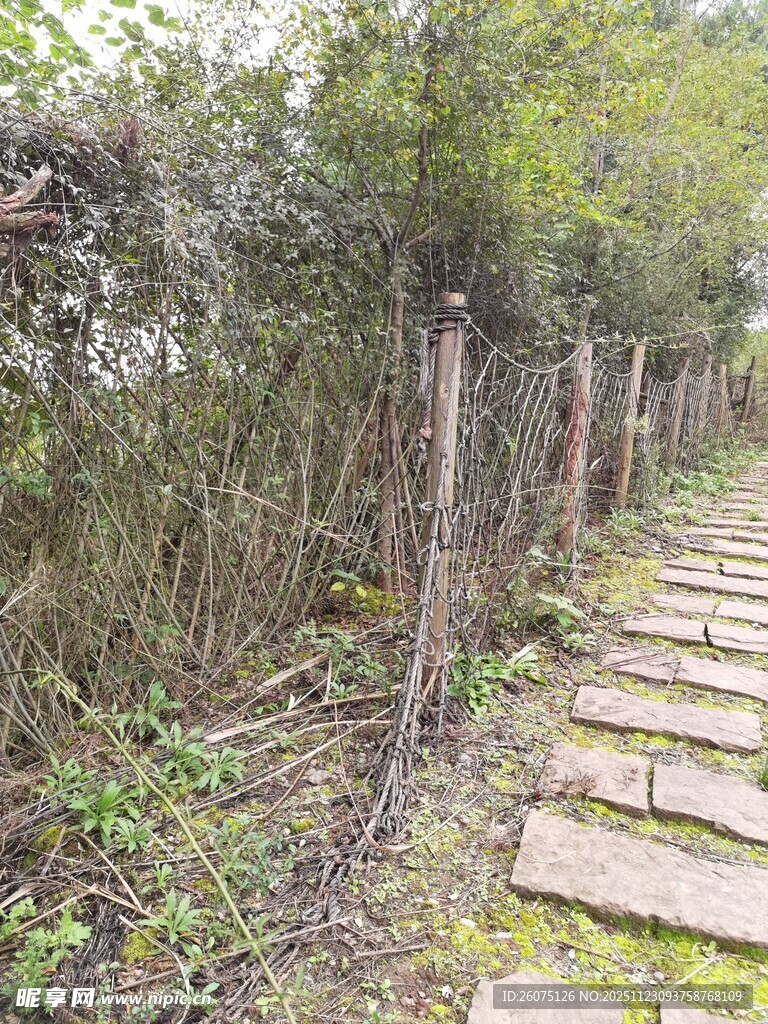 乡间木径自然静谧小道