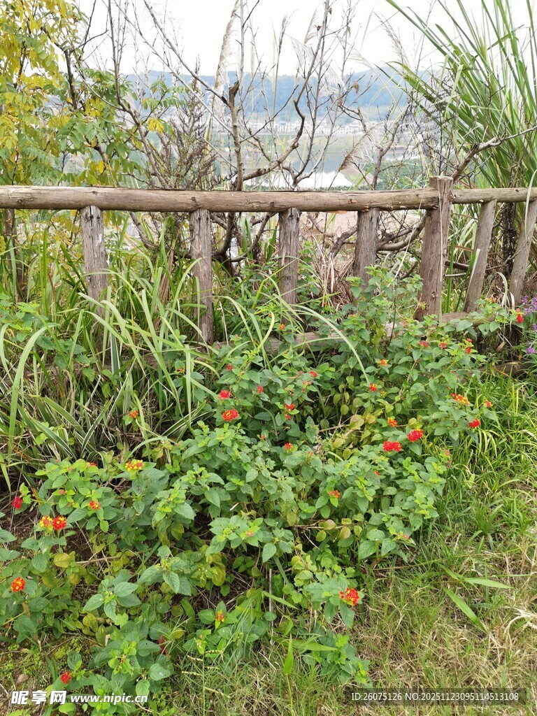 户外绿植环绕的木质围栏