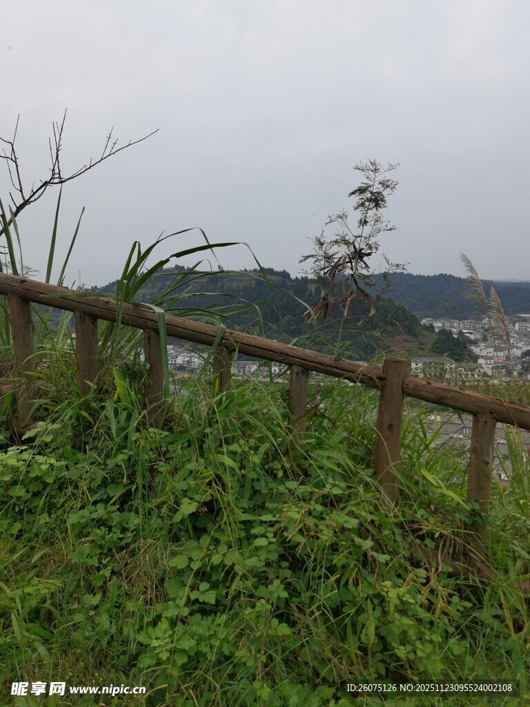 木栅栏旁的繁茂绿植景观