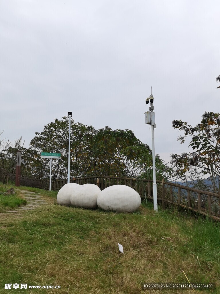 户外草地上的白色球形装置