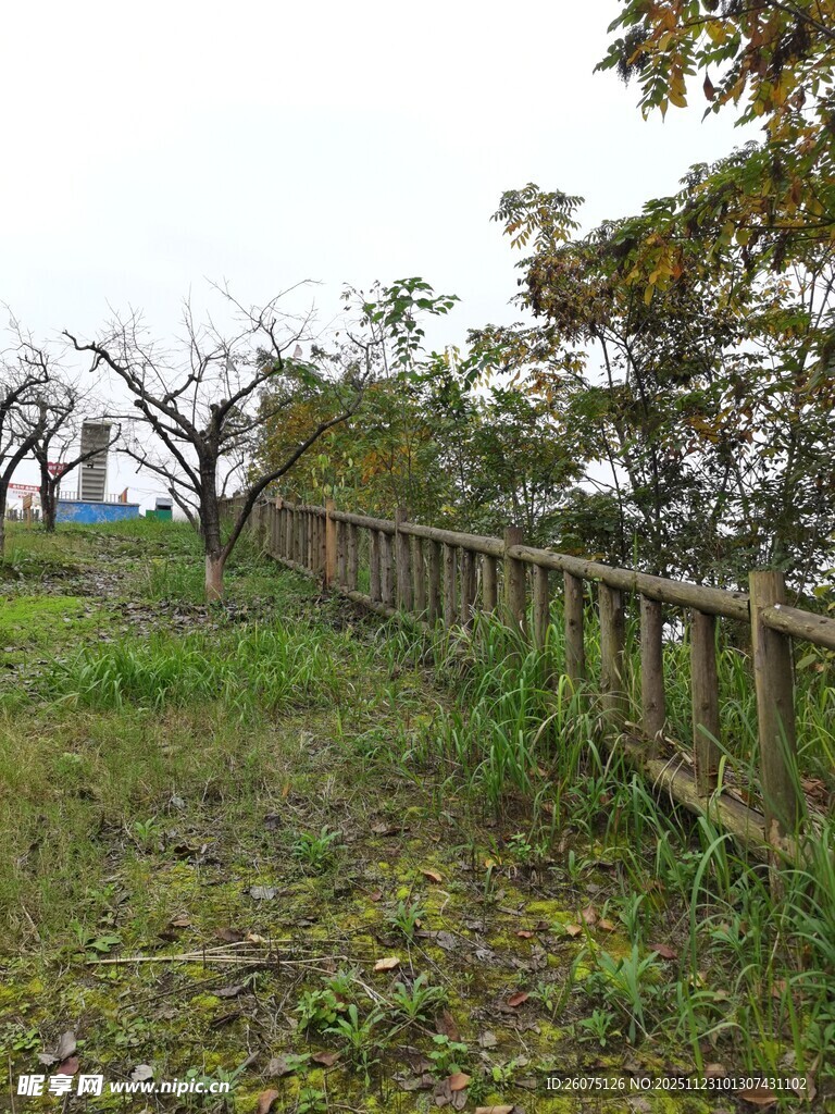 秋日田野边的木质围栏