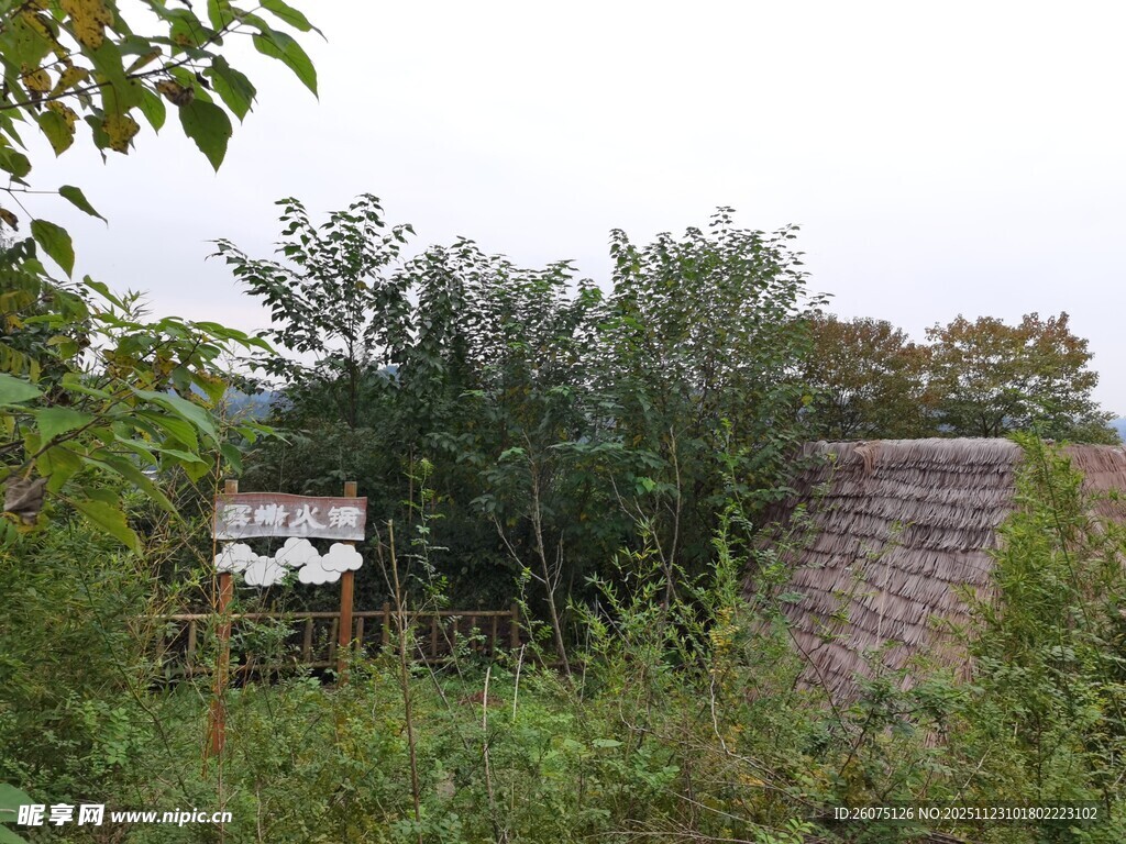 荒废角落的旧物与绿植