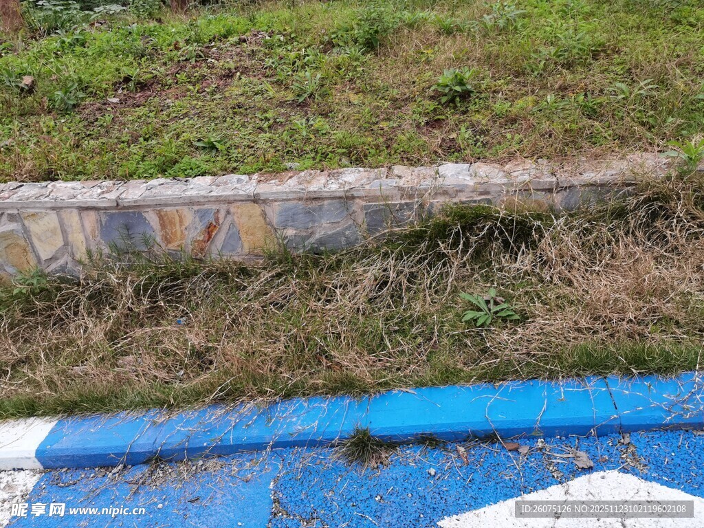 路边蓝白标线与草地