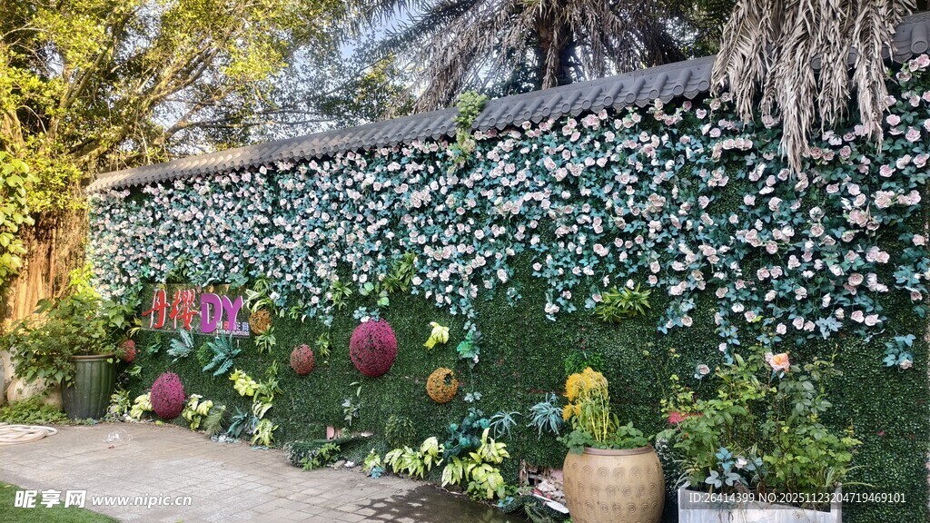 花园美景多彩花卉与绿植