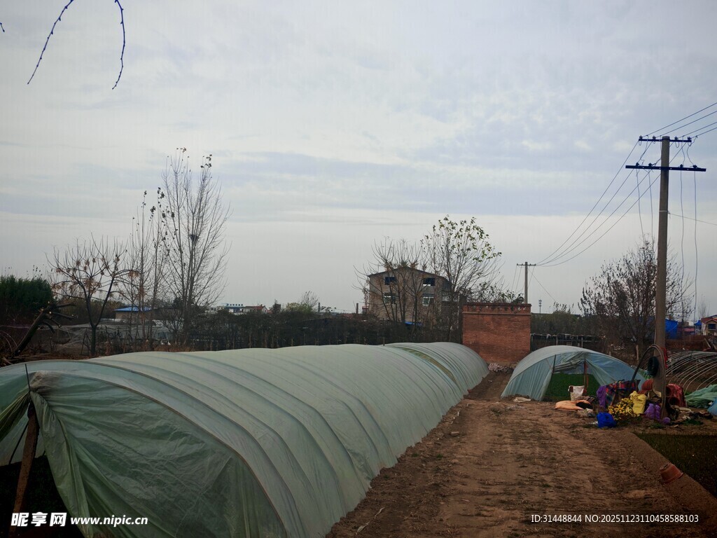 农田中的绿色大棚场景