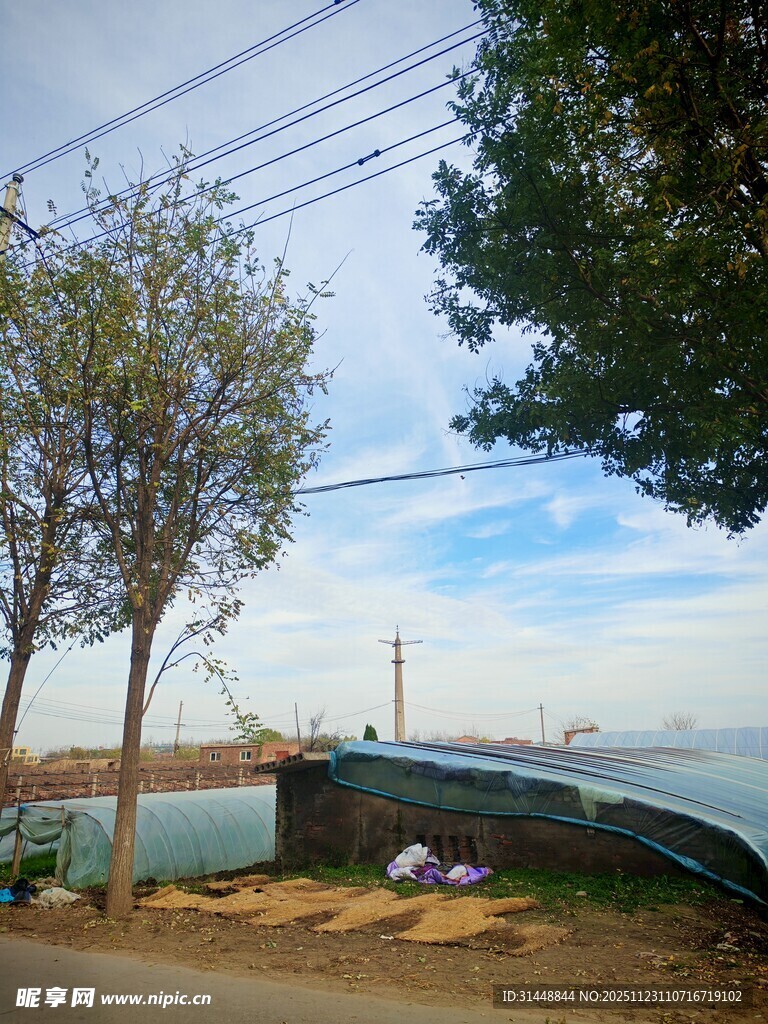 户外湖边风景与树木