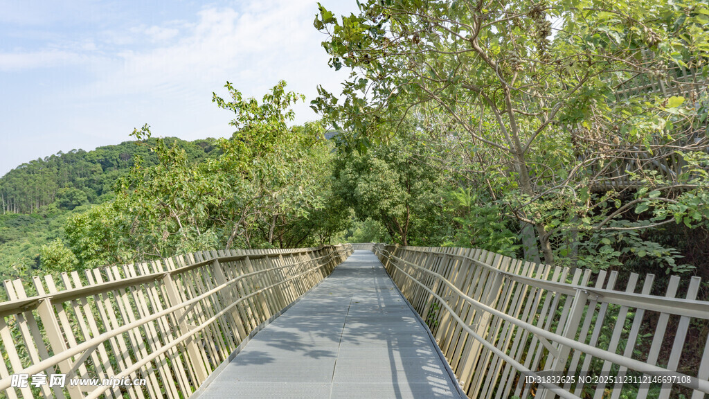 林间竹制栈道风景