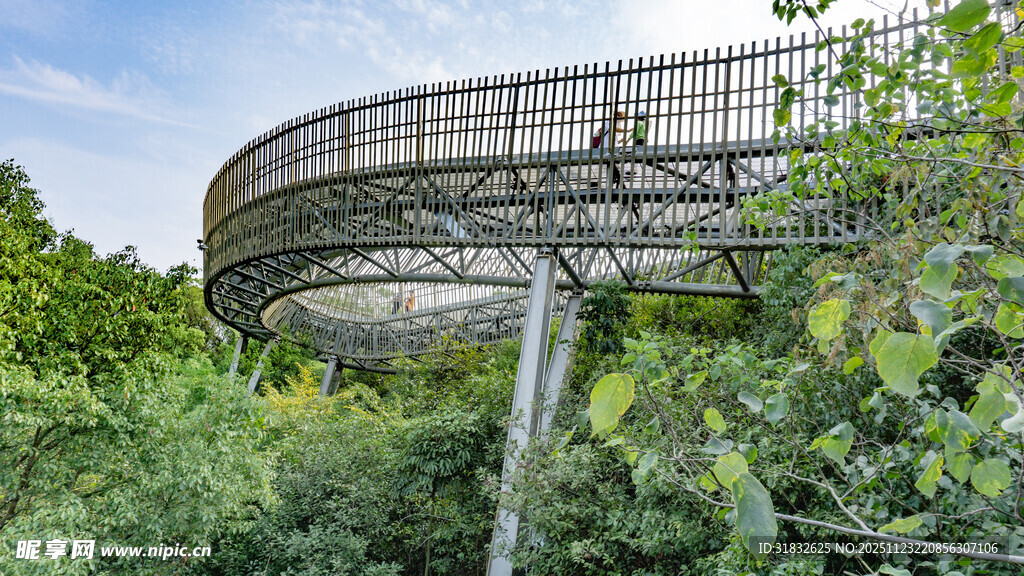 林中环形观景栈道