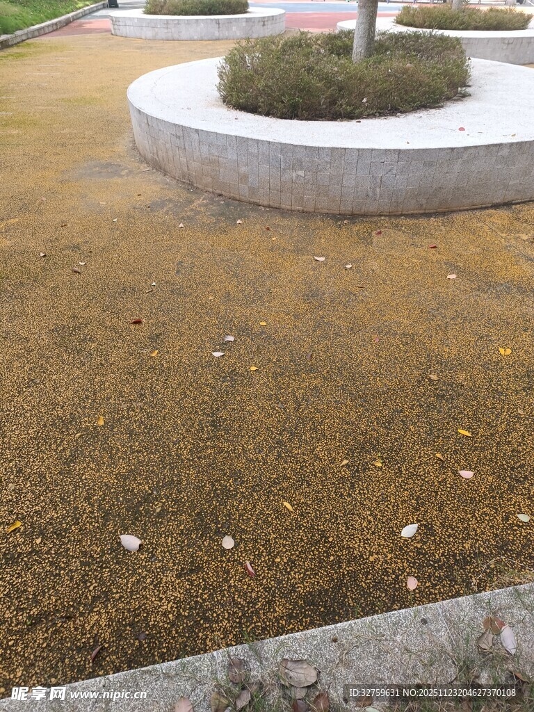 户外圆形树池周边景观