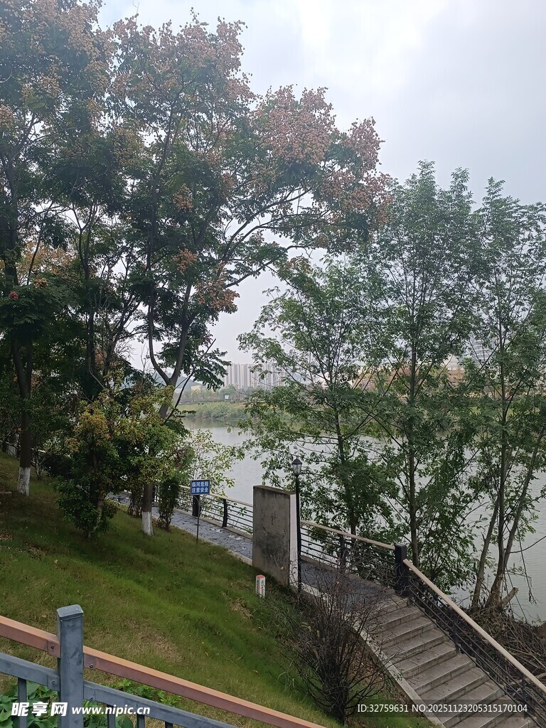 湖畔木梯旁的葱郁景致