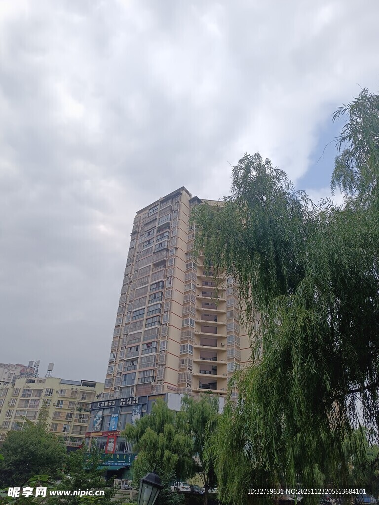 城市高楼旁的垂柳景观