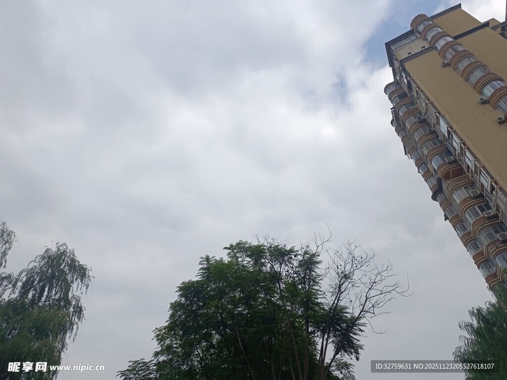 高楼与绿树映衬的天空