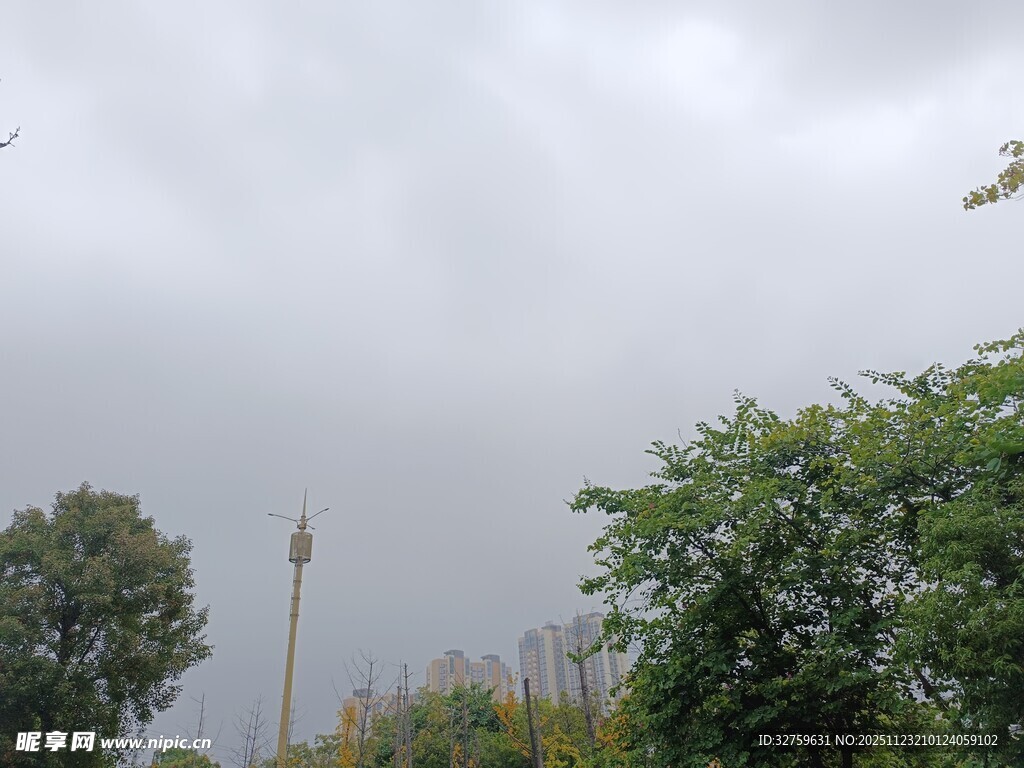 阴天树林中的通信基站