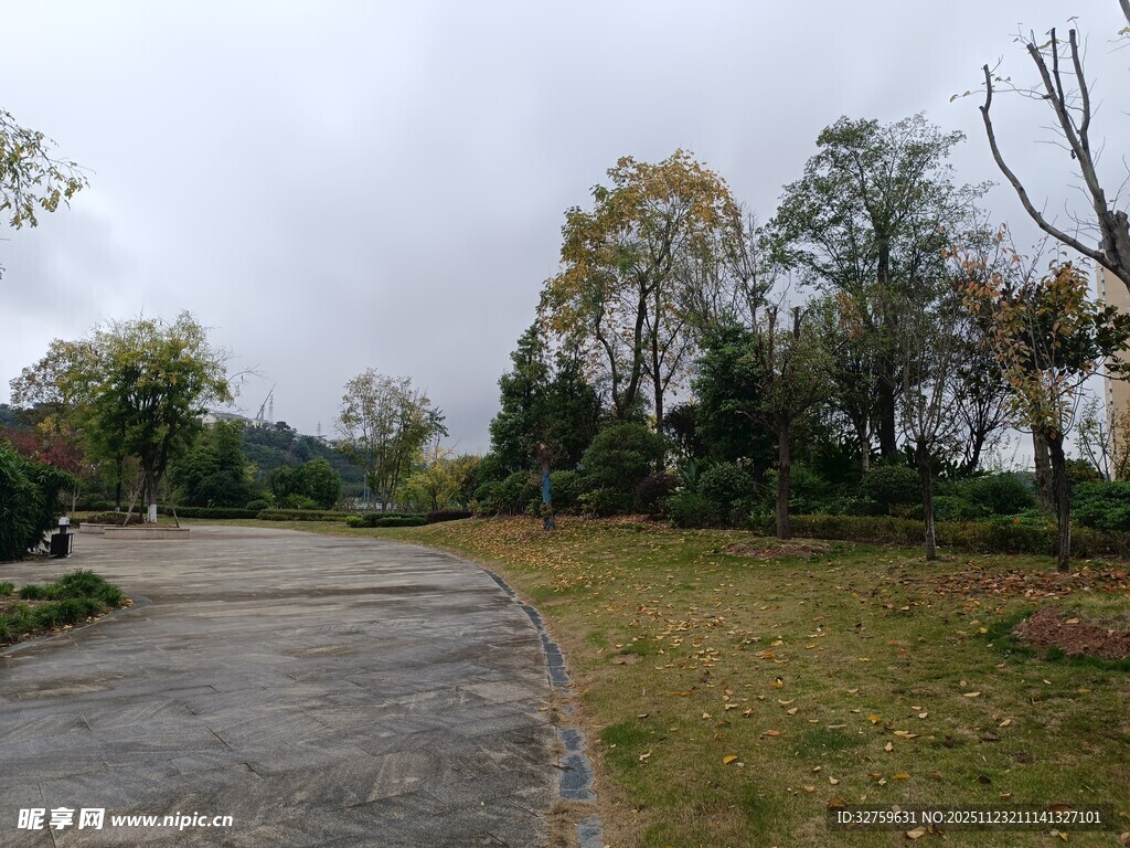 户外雨天的开阔自然场景