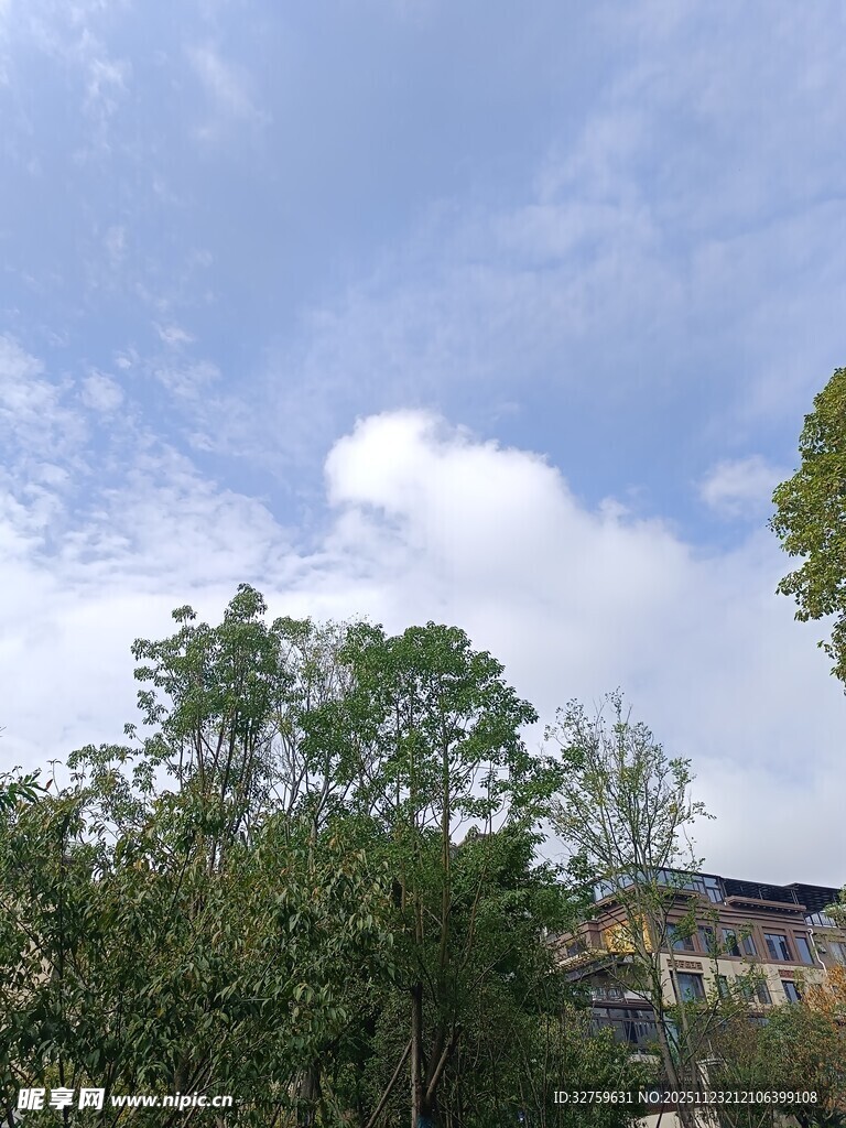 蓝天白云下的绿树建筑